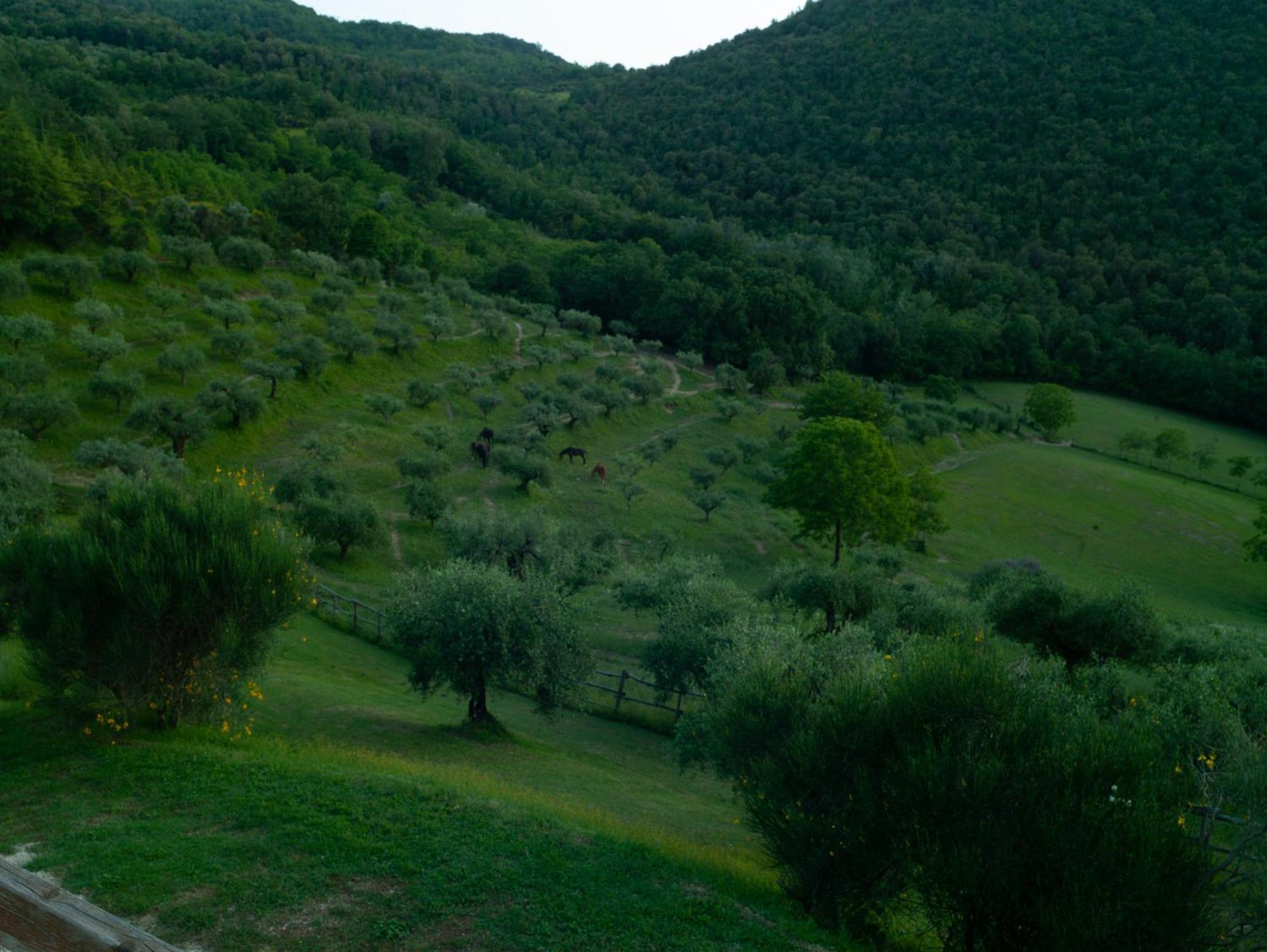Agriturismo La Fonte Перуджа Экстерьер фото